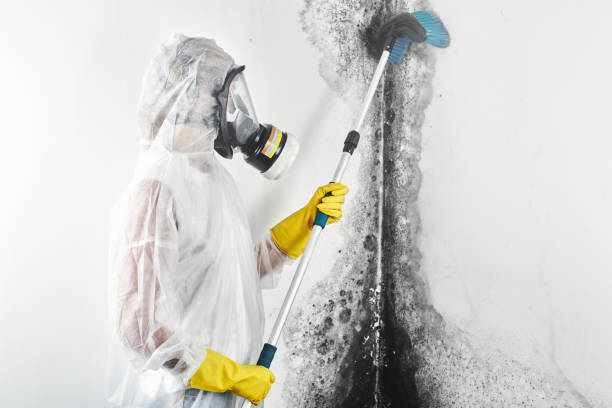 Best Air Quality Testing for Mold Spores  in New Brockton, AL