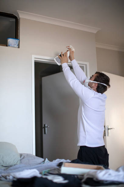 Mold Remediation for Rental Properties in New Brockton, AL