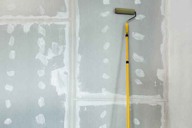 Best Mold Prevention Services  in New Brockton, AL